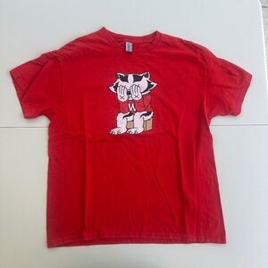 Vintage Badger Wisconsin Game Day Shirt